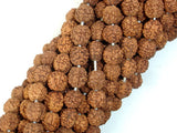 Rudraksha Beads, 7mm-8mm Round Beads-BeadBeyond