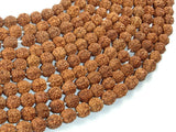 Rudraksha Beads, 7mm-8mm Round Beads-BeadBeyond