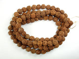 Rudraksha Beads, 7mm-8mm Round Beads-BeadBeyond