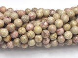 Fossil Jasper Beads, 8mm Round Beads-BeadBeyond