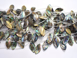 Abalone 13x25mm Curved Marquise Beads, Side Drilled, 14 Inch-BeadBeyond