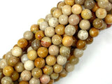 Fossil Coral Beads, 7mm, Round Beads-Gems: Round & Faceted-BeadBeyond